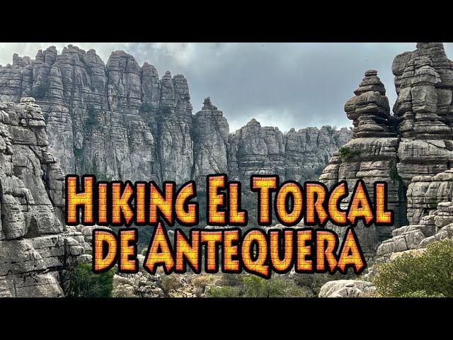 bazar san juan el torcal