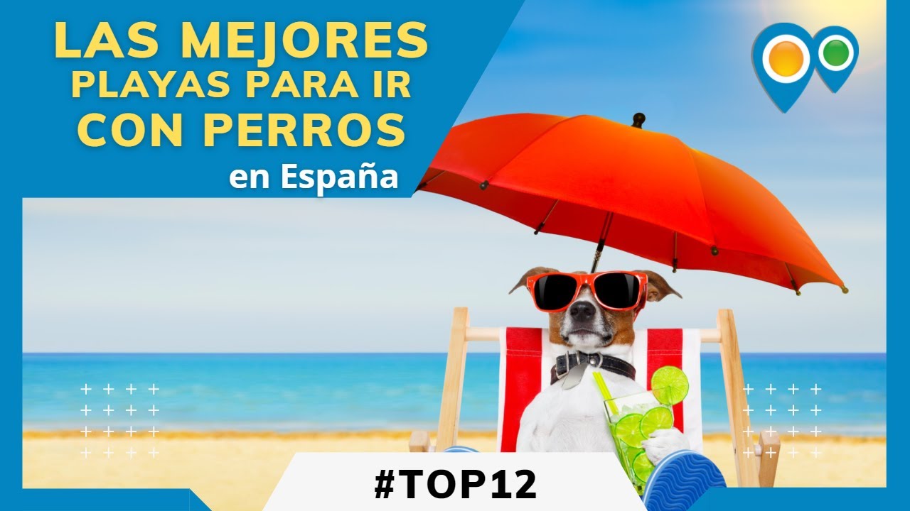 camping con playa para perros