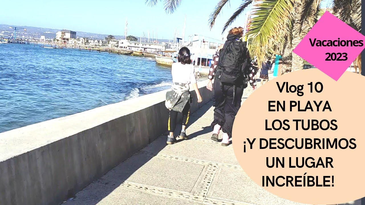 donde comer en algarrobo costa