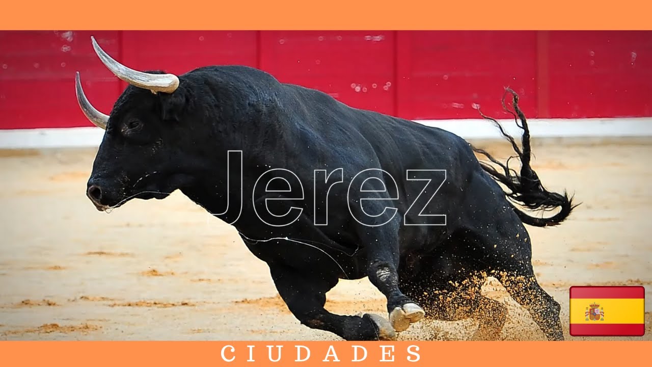 que ver en jerez en un dia
