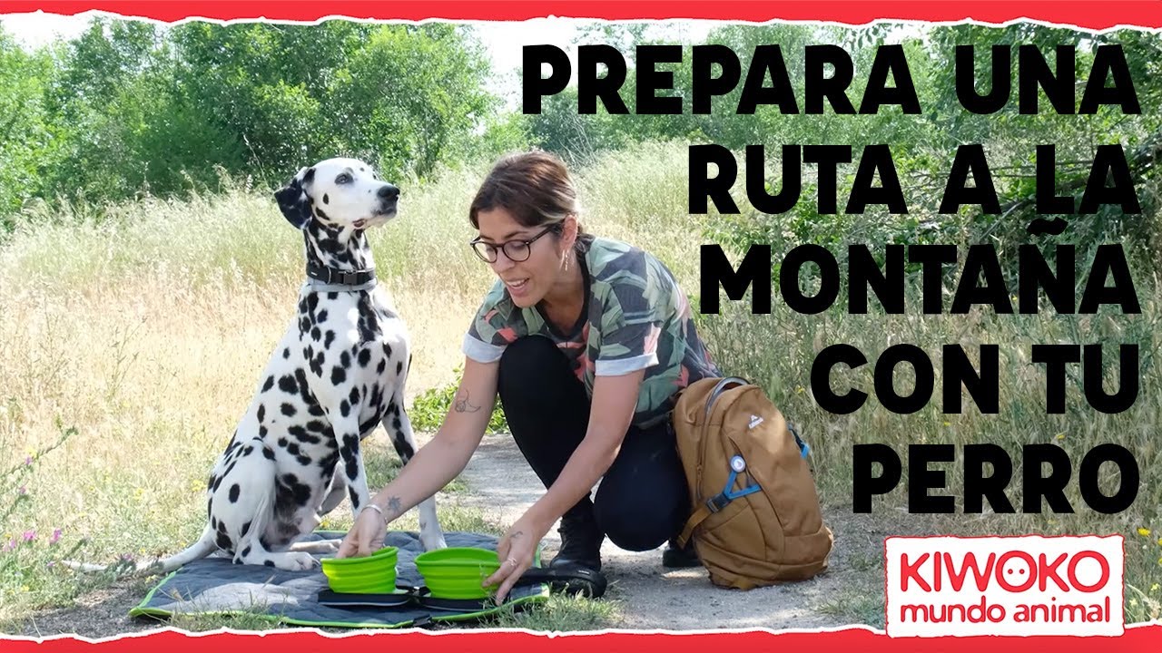 rutas de senderismo con perros